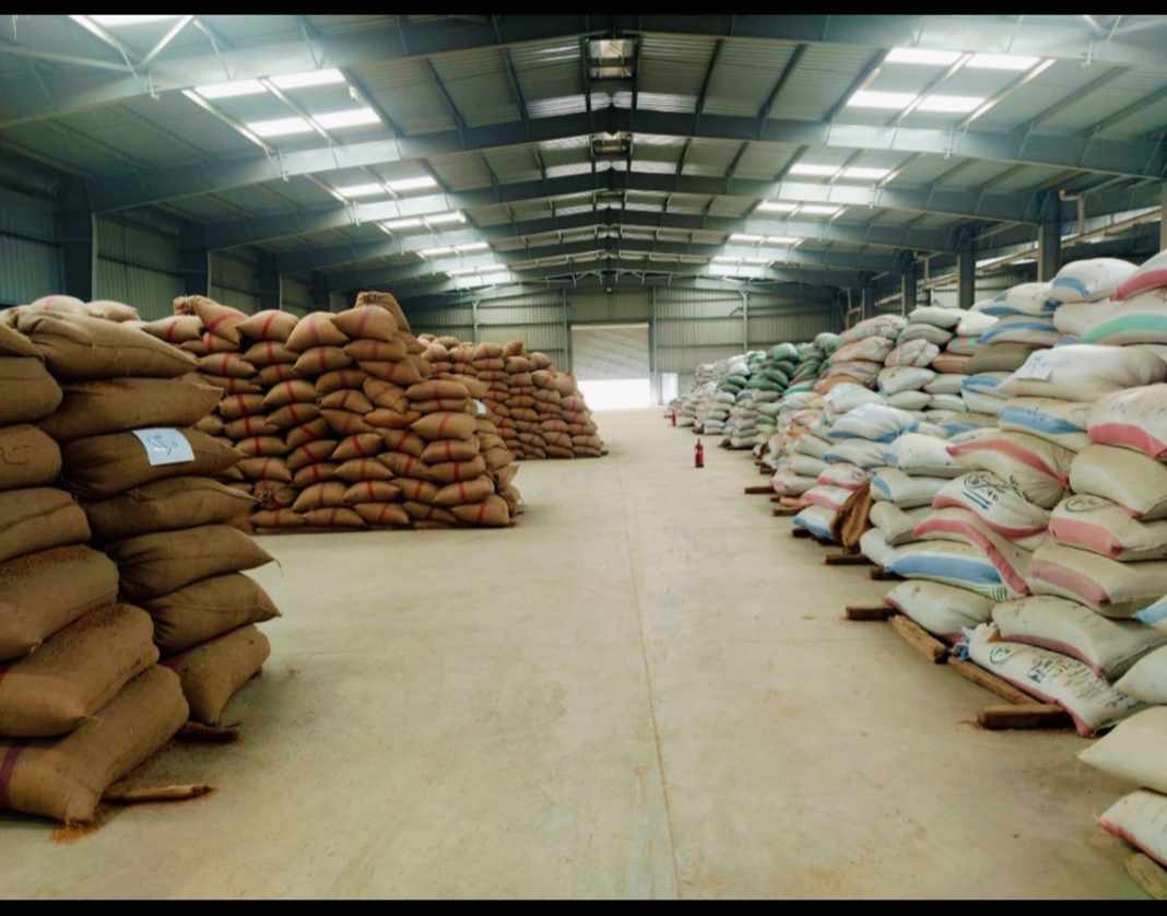 البنك الزراعي المصري يُنهي استعداداته لاستقبال موسم توريد القمح 2026