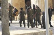 مستوطنون يقتحمون المسجد الأقصى بحراسة قوات الاحتلال الإسرائيلى