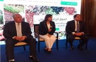 البنك الزراعي يدعم الاقتصاد القومي من خلال تمويل سلاسل القيمة في قصب السكر