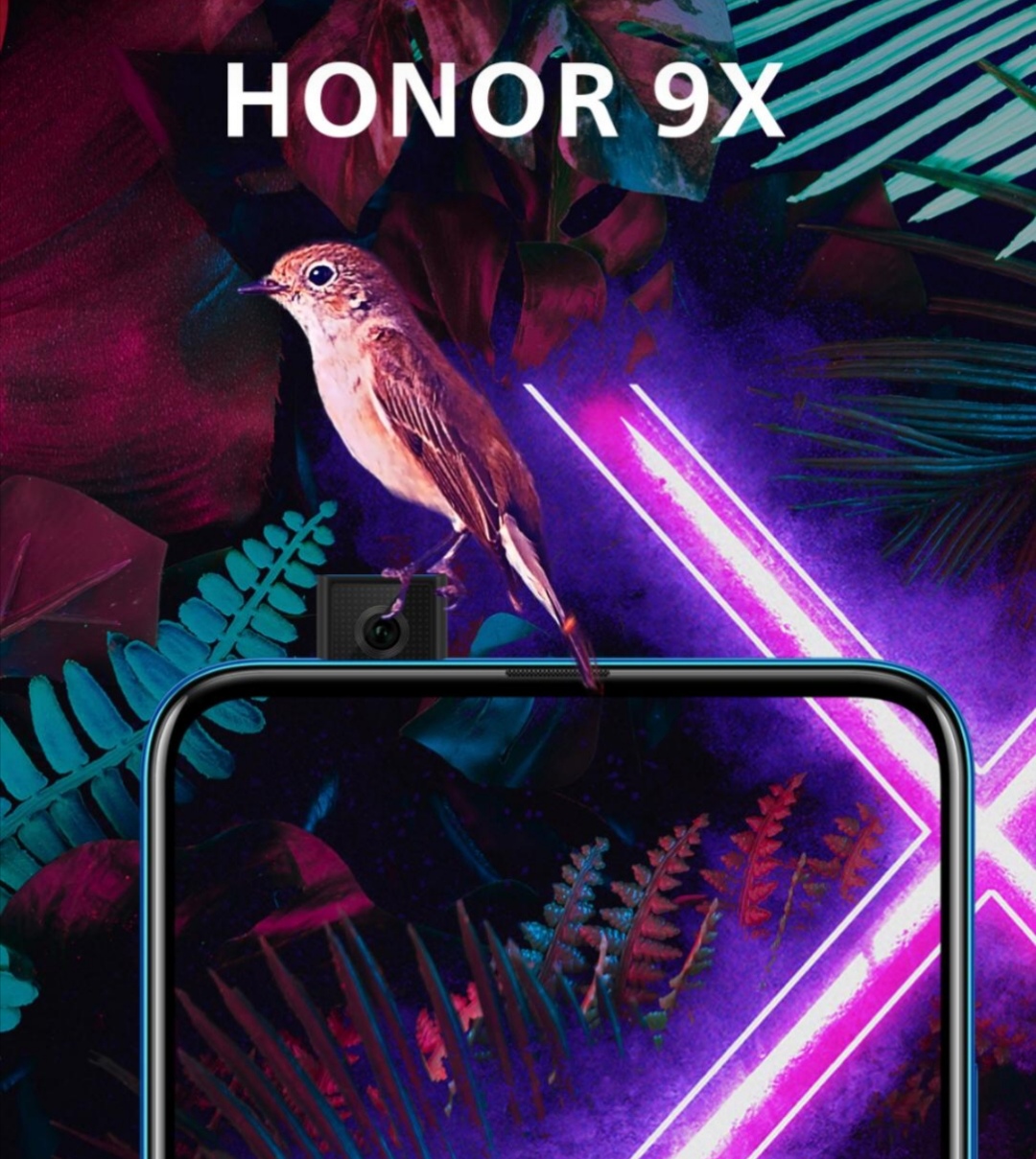 هونر .HONOR 9X   في  مصر خلال أيام