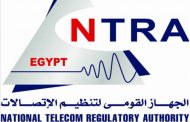 المحكمة الاقتصادية تؤيد غرامة 900 ألف جنيه على احدى شركات إبادة الحشرات