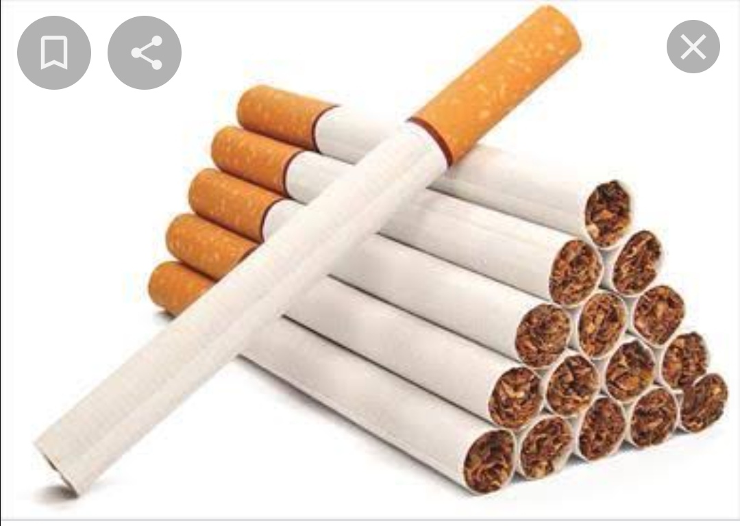 المصريون استهلكوا 67 مليار سيجارة  كليوباترا خلال عام