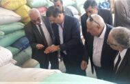 علاء فاروق : توريد 732.5 ألف طن قمح لشون البنك بكافة المحافظات منذ منتصف إبريل وحتى اول يونيو بزيادة 190 ألف طن عن نفس الفترة من الموسم الماضي