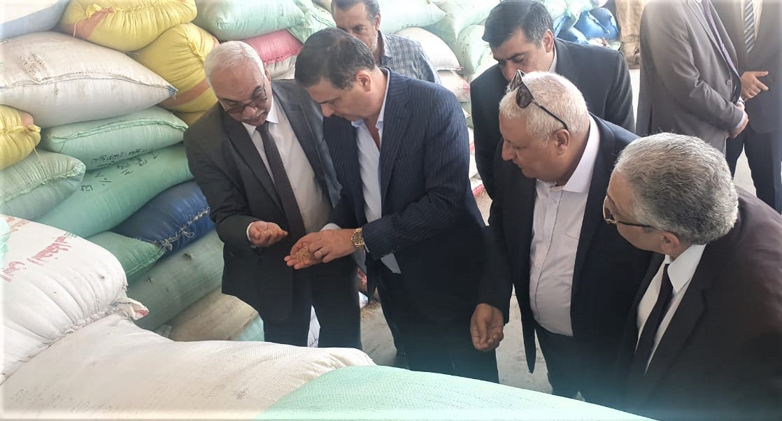 علاء فاروق : توريد 732.5 ألف طن قمح لشون البنك بكافة المحافظات منذ منتصف إبريل وحتى اول يونيو بزيادة 190 ألف طن عن نفس الفترة من الموسم الماضي