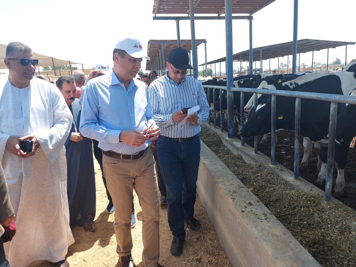 علاء فاروق : يشارك في الاحتفال بوصول 1000 رأس من الأبقار المستوردة بمحطة الإنتاج الحيواني بالنوبارية