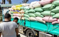 البنك الزراعي المصري يبدأ استلام محصول القمح من المزارعين والموردين في 190 موقع على مستوى الجمهورية