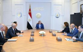 الرئيس عبد الفتاح السيسي يستقبل كريستل هايدمان الرئيسة التنفيذية لمجموعة «أورنج» العالمية